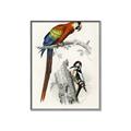 Picture of Feathered Friends _GroupedProduct_Rectangle_Portrait_Canvas_Framed_