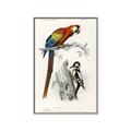 Picture of Feathered Friends _GroupedProduct_Rectangle_Portrait_Canvas_Framed_