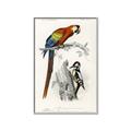 Picture of Feathered Friends _GroupedProduct_Rectangle_Portrait_Canvas_Framed_