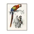 Picture of Feathered Friends _GroupedProduct_Rectangle_Portrait_Canvas_Framed_