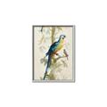 Picture of Five Birds _GroupedProduct_Rectangle_Portrait_Canvas_Framed_