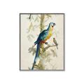 Picture of Five Birds _GroupedProduct_Rectangle_Portrait_Canvas_Framed_