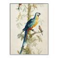 Picture of Five Birds _GroupedProduct_Rectangle_Portrait_Canvas_Framed_