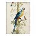 Picture of Five Birds _GroupedProduct_Rectangle_Portrait_Canvas_Framed_