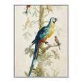 Picture of Five Birds _GroupedProduct_Rectangle_Portrait_Canvas_Framed_