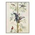 Picture of Six Birds _GroupedProduct_Rectangle_Portrait_Canvas_Framed_