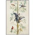 Picture of Six Birds _GroupedProduct_Rectangle_Portrait_Canvas_Framed_
