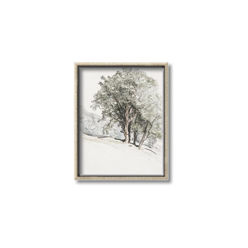 Picture of Trees on a Hill _GroupedProduct_Rectangle_Portrait_Canvas_Framed_