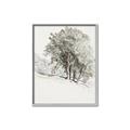 Picture of Trees on a Hill _GroupedProduct_Rectangle_Portrait_Canvas_Framed_