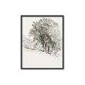 Picture of Trees on a Hill _GroupedProduct_Rectangle_Portrait_Canvas_Framed_