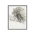 Picture of Trees on a Hill _GroupedProduct_Rectangle_Portrait_Canvas_Framed_
