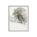 Picture of Trees on a Hill _GroupedProduct_Rectangle_Portrait_Canvas_Framed_