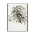 Picture of Trees on a Hill _GroupedProduct_Rectangle_Portrait_Canvas_Framed_
