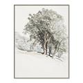Picture of Trees on a Hill _GroupedProduct_Rectangle_Portrait_Canvas_Framed_