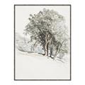 Picture of Trees on a Hill _GroupedProduct_Rectangle_Portrait_Canvas_Framed_