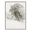 Picture of Trees on a Hill _GroupedProduct_Rectangle_Portrait_Canvas_Framed_