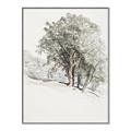 Picture of Trees on a Hill _GroupedProduct_Rectangle_Portrait_Canvas_Framed_