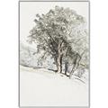 Picture of Trees on a Hill _GroupedProduct_Rectangle_Portrait_Canvas_Framed_