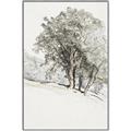 Picture of Trees on a Hill _GroupedProduct_Rectangle_Portrait_Canvas_Framed_