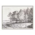 Picture of Windy Trees _GroupedProduct_Rectangle_Landscape_Canvas_Framed_