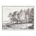 Picture of Windy Trees _GroupedProduct_Rectangle_Landscape_Canvas_Framed_