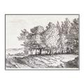 Picture of Windy Trees _GroupedProduct_Rectangle_Landscape_Canvas_Framed_