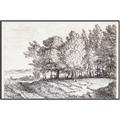Picture of Windy Trees _GroupedProduct_Rectangle_Landscape_Canvas_Framed_