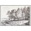 Picture of Windy Trees _GroupedProduct_Rectangle_Landscape_Canvas_Framed_