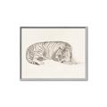 Picture of Tiger Time _GroupedProduct_Rectangle_Landscape_Canvas_Framed_