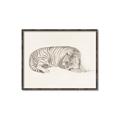 Picture of Tiger Time _GroupedProduct_Rectangle_Landscape_Canvas_Framed_