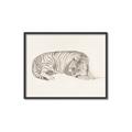 Picture of Tiger Time _GroupedProduct_Rectangle_Landscape_Canvas_Framed_