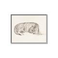Picture of Tiger Time _GroupedProduct_Rectangle_Landscape_Canvas_Framed_