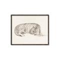 Picture of Tiger Time _GroupedProduct_Rectangle_Landscape_Canvas_Framed_