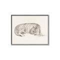 Picture of Tiger Time _GroupedProduct_Rectangle_Landscape_Canvas_Framed_