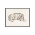 Picture of Tiger Time _GroupedProduct_Rectangle_Landscape_Canvas_Framed_