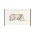 Picture of Tiger Time _GroupedProduct_Rectangle_Landscape_Canvas_Framed_