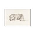 Picture of Tiger Time _GroupedProduct_Rectangle_Landscape_Canvas_Framed_