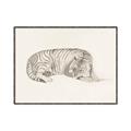 Picture of Tiger Time _GroupedProduct_Rectangle_Landscape_Canvas_Framed_