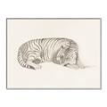 Picture of Tiger Time _GroupedProduct_Rectangle_Landscape_Canvas_Framed_