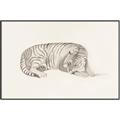 Picture of Tiger Time _GroupedProduct_Rectangle_Landscape_Canvas_Framed_