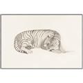 Picture of Tiger Time _GroupedProduct_Rectangle_Landscape_Canvas_Framed_