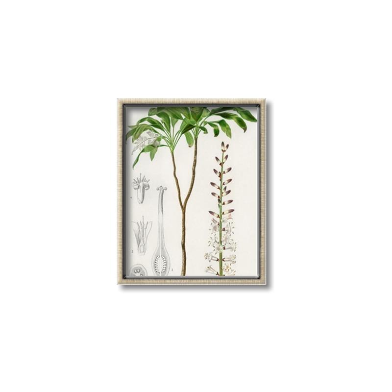 Picture of Palm Botanical _GroupedProduct_Rectangle_Portrait_Canvas_Framed_