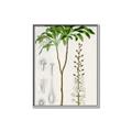 Picture of Palm Botanical _GroupedProduct_Rectangle_Portrait_Canvas_Framed_