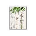 Picture of Palm Botanical _GroupedProduct_Rectangle_Portrait_Canvas_Framed_