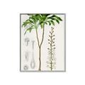 Picture of Palm Botanical _GroupedProduct_Rectangle_Portrait_Canvas_Framed_