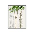 Picture of Palm Botanical _GroupedProduct_Rectangle_Portrait_Canvas_Framed_