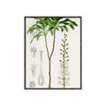 Picture of Palm Botanical _GroupedProduct_Rectangle_Portrait_Canvas_Framed_