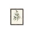 Picture of Paradlotus _GroupedProduct_Rectangle_Portrait_Canvas_Framed_