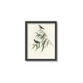 Picture of Paradlotus _GroupedProduct_Rectangle_Portrait_Canvas_Framed_