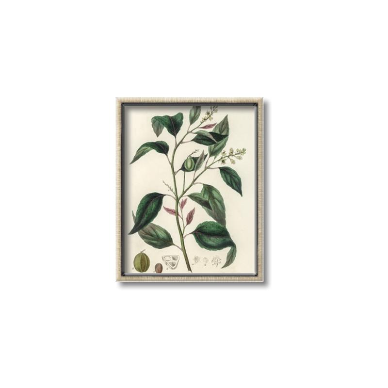 Picture of Tiglillum _GroupedProduct_Rectangle_Portrait_Canvas_Framed_